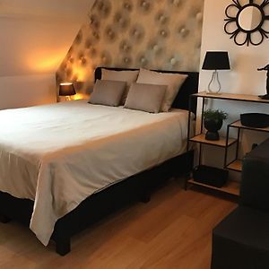 Standaard Kamer met een King Size Bed